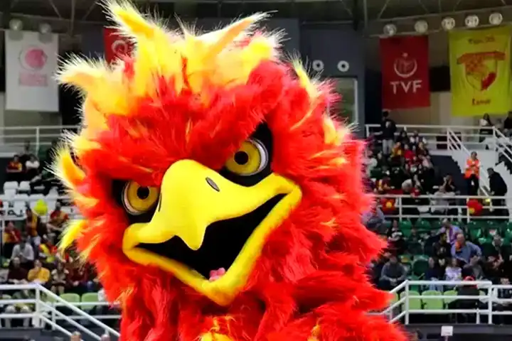 Maskot Hakemi Dövmeye Kalktı, Gözaltına Alındı!